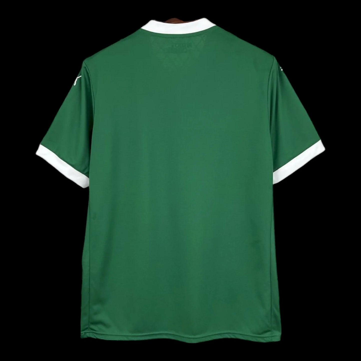 Palmeiras Home Shirt 25/26