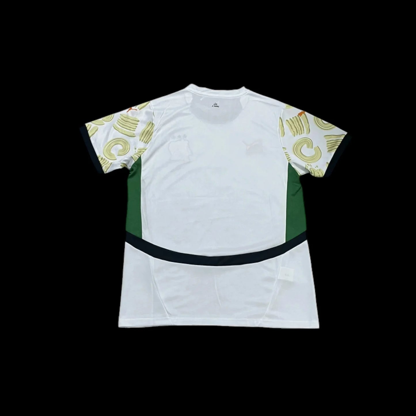 Ivory Coast Away Jersey 24/25