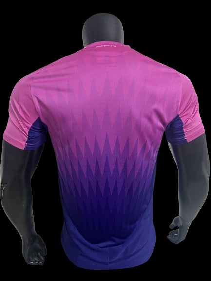 Camiseta de visitante de Alemania 24/25 - Versión de jugador
