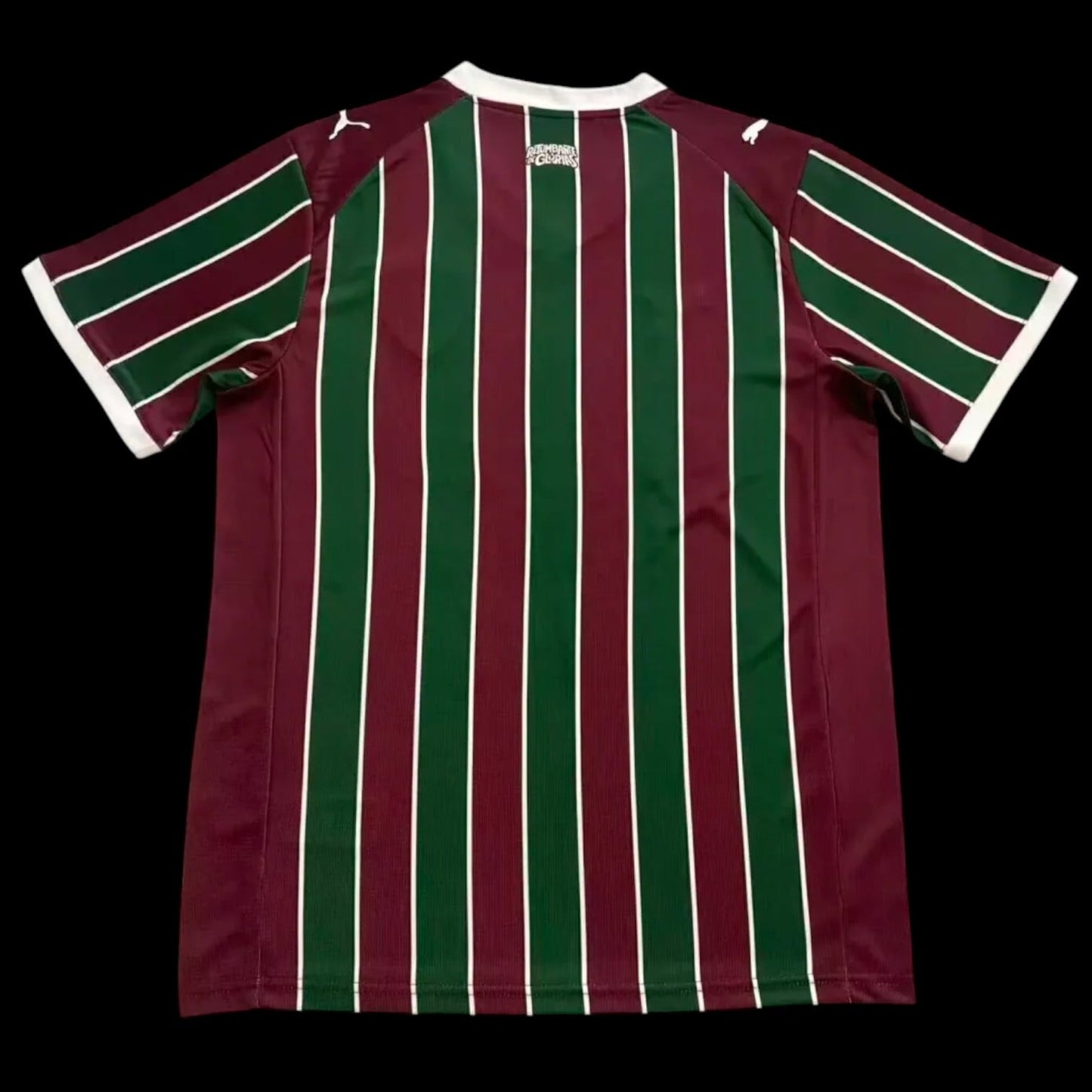 Fluminense Maillot Domicile 26/27
