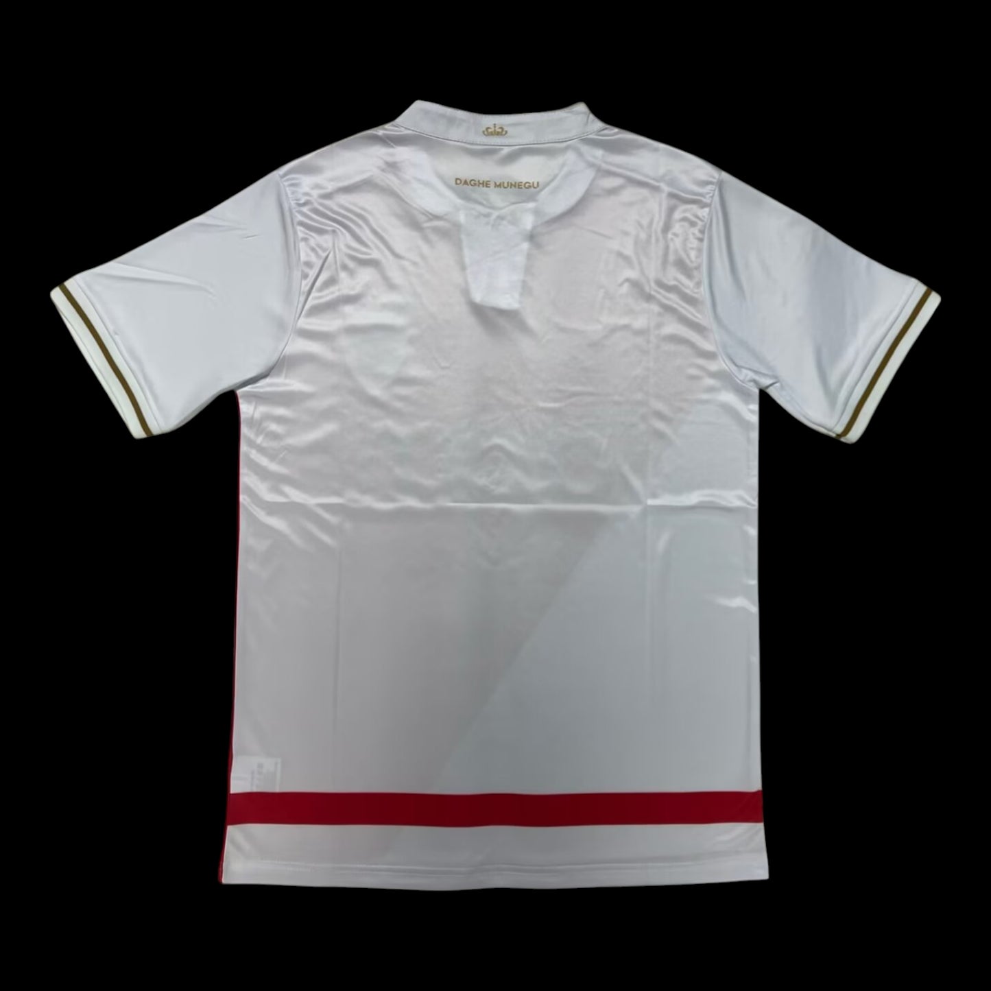 Monaco Maillot Domicile 25/26