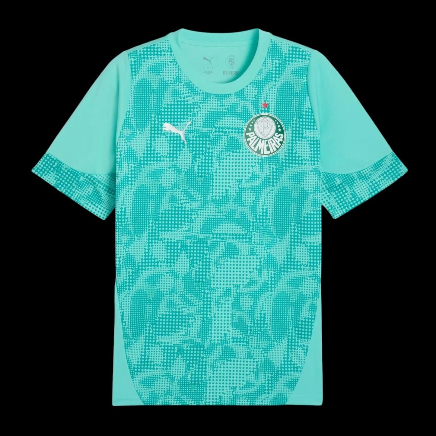 Palmeiras Maillot Gardien 26/27