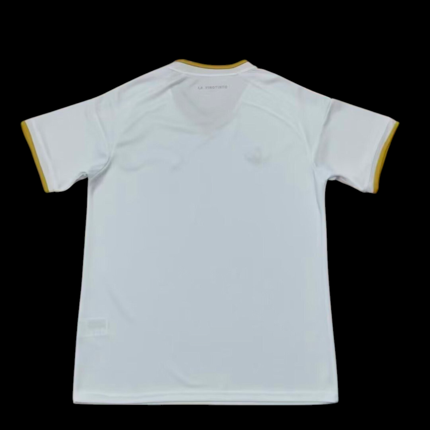 Venezuela Maillot Extérieur 26/27