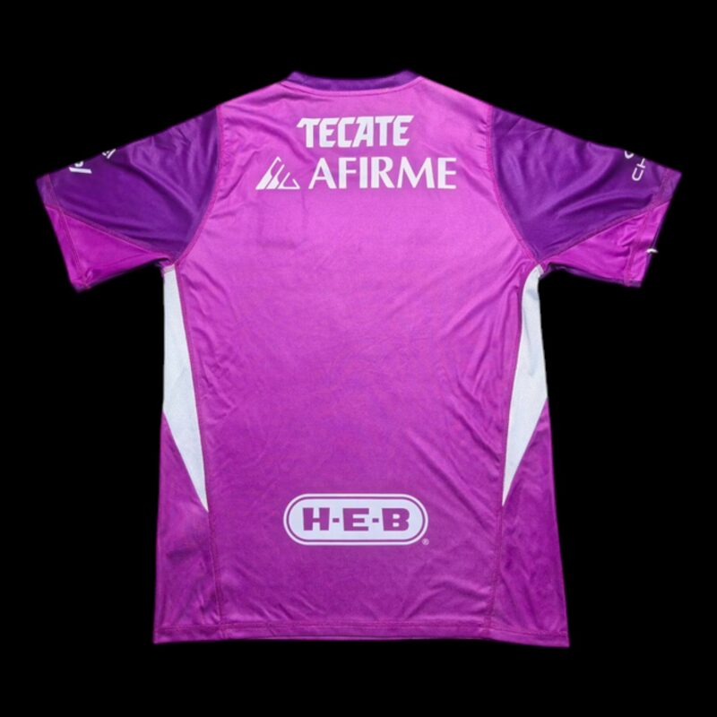 Tigres Maillot Gardien 25/26