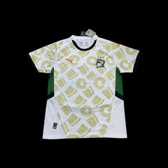 Ivory Coast Away Jersey 24/25