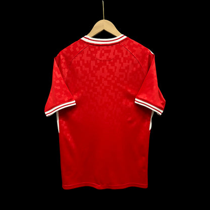 Denmark Home Shirt 24/25