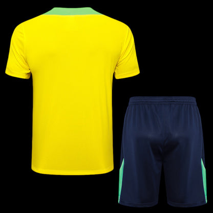 Brazil Training Set 24/25 - Child/Adult