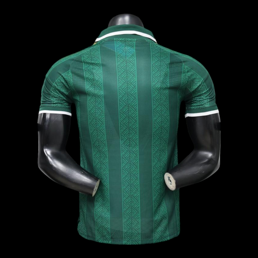 Afrique du sud Maillot Extérieur 26/27 -Version Player