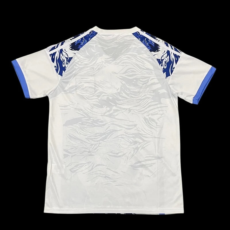 Japon maillot concept