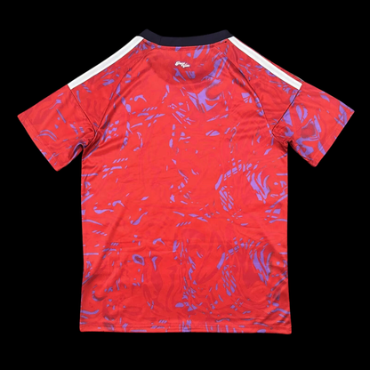 Costa Rica Maillot Domicile 26/27