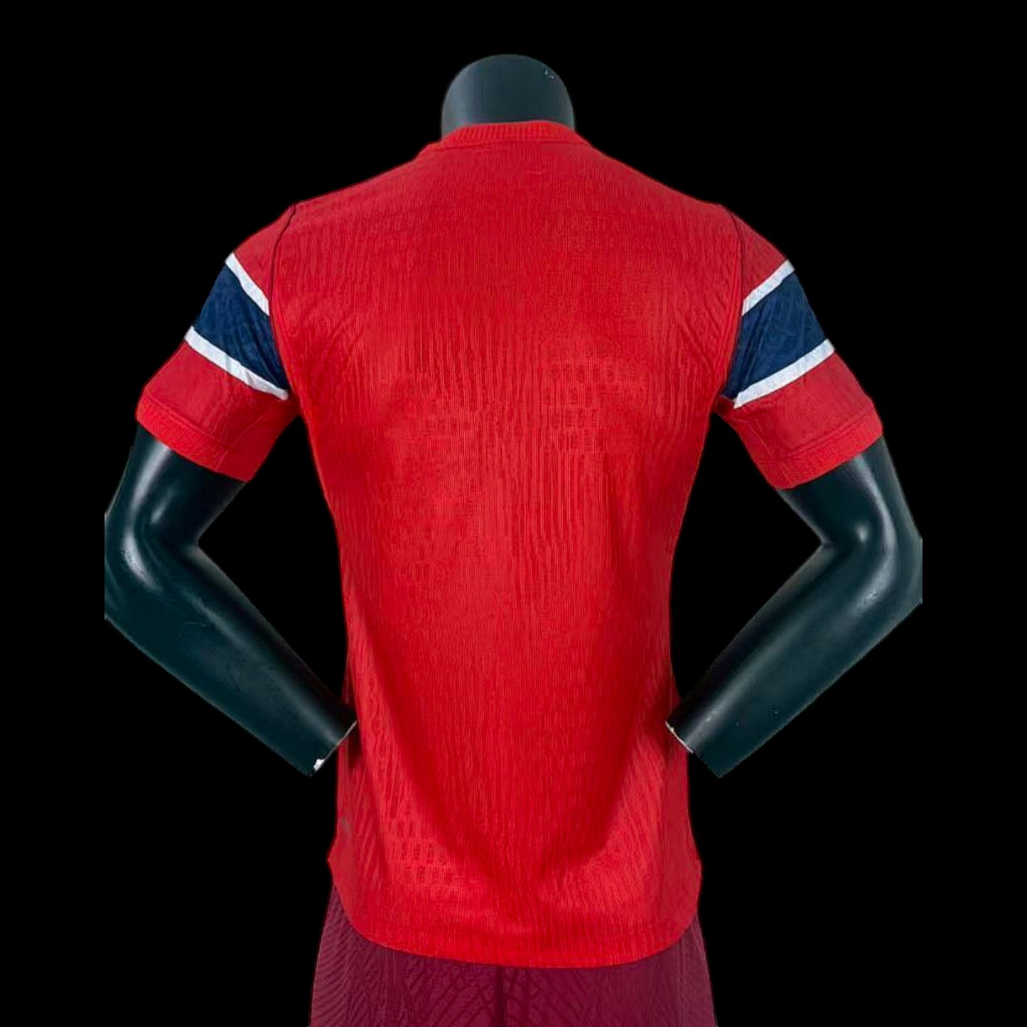 Norvège Maillot Domicile 26/27 –Version Player