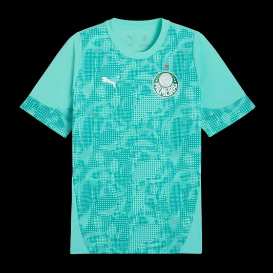 Palmeiras Maillot Gardien 26/27