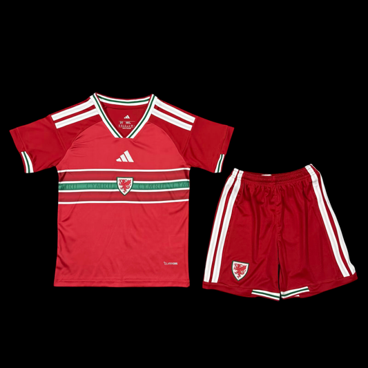 Pays de Galles Maillot Domicile 26/27 -Enfant