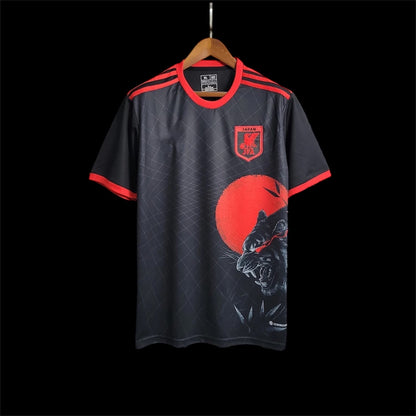 Japon Maillot Concept