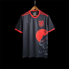 Japon Maillot Concept